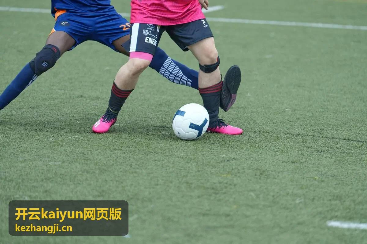 开云kaiyun网页版公有云网页端与私有化部署方式对照