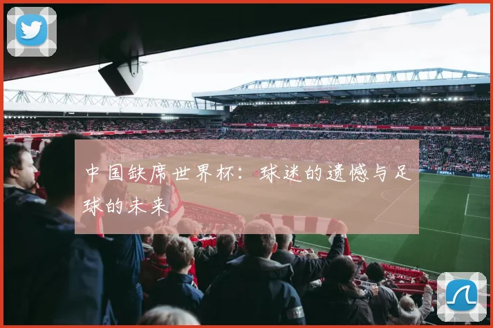 中国缺席世界杯：球迷的遗憾与足球的未来