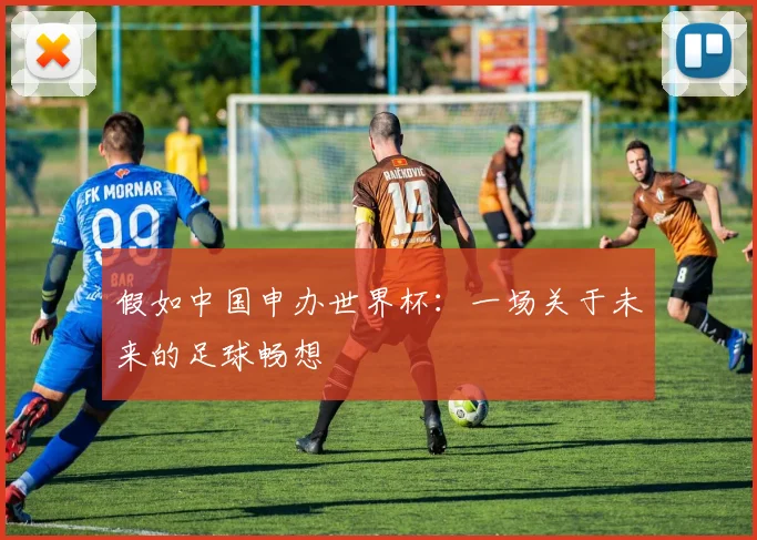 假如中国申办世界杯：一场关于未来的足球畅想