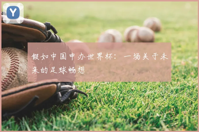 假如中国申办世界杯：一场关于未来的足球畅想