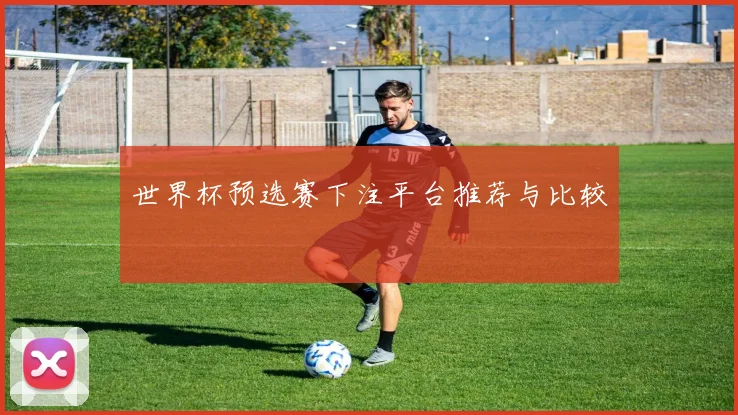 世界杯预选赛下注平台推荐与比较