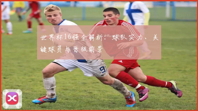世界杯16强全解析：球队实力、关键球员与晋级前景
