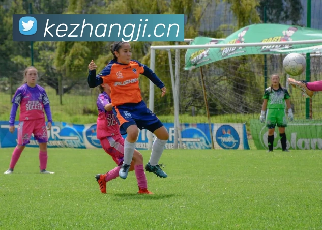 多媒体互动体验